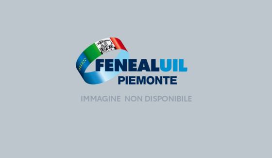 Safe day 2025 | FENEALUIL